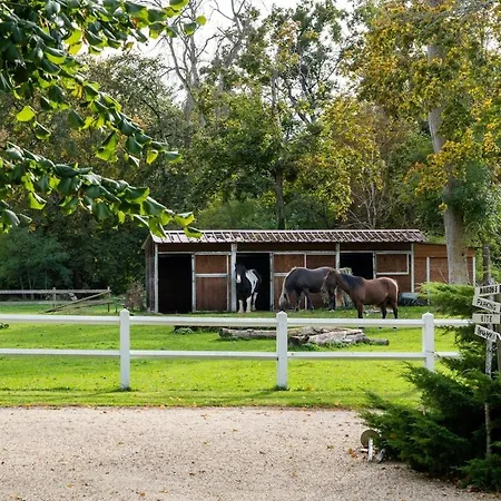 Maison 1 Дом отдыха